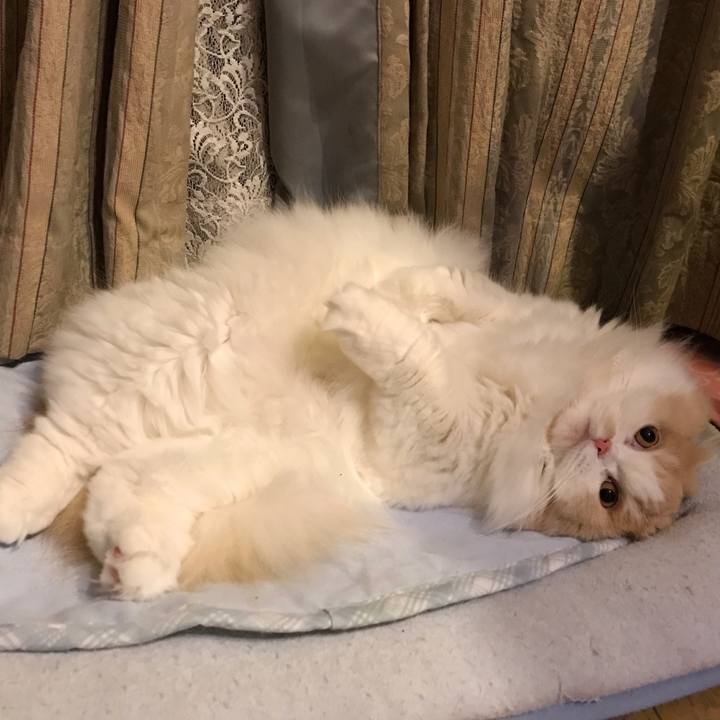 7e9665ca 8849 4be9 bf1c 6a410ea79467 1539522092943