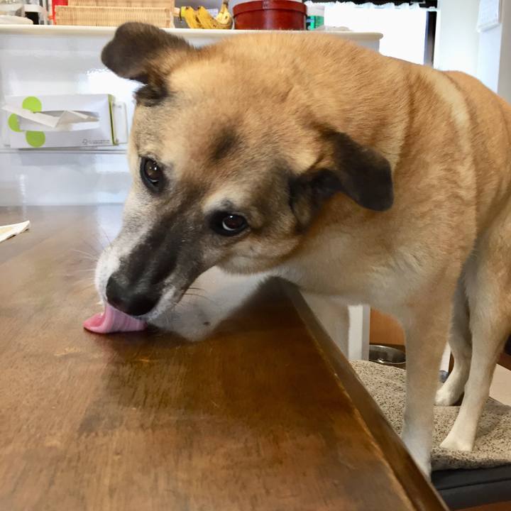 7e966eda fc25 4308 bab2 b926ea4c9abb 1526182372914