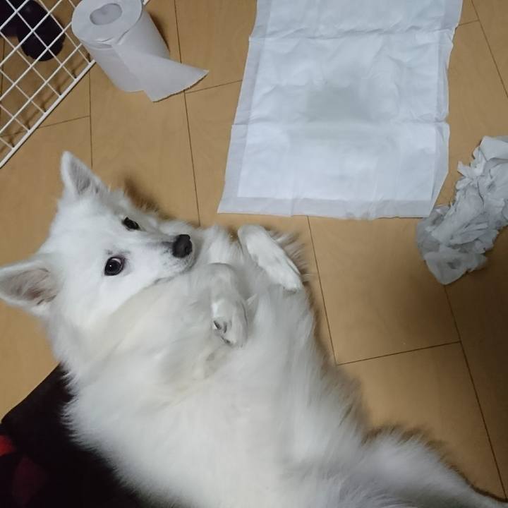 7e9675b3 18ad 4a4c 9dfe 889daf5fa44e 1515942257712