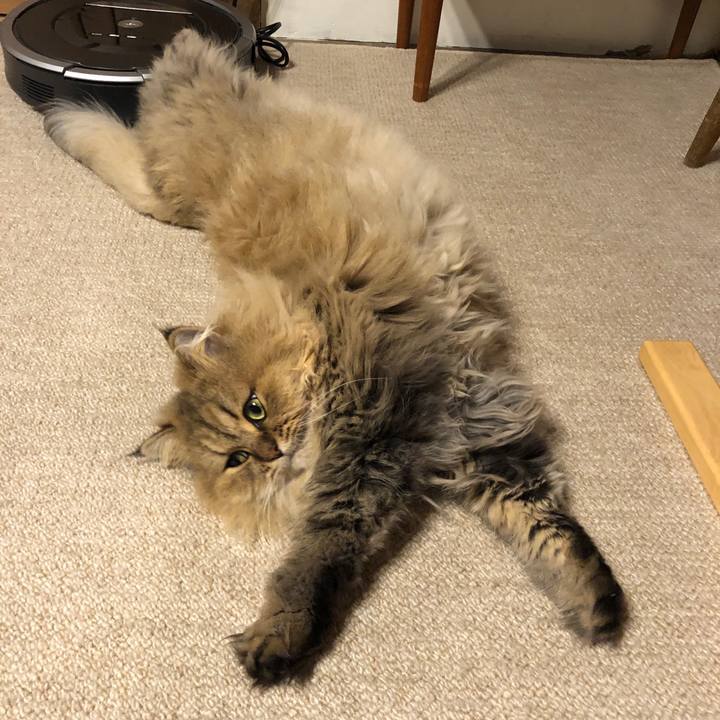 7e968443 b4e3 4309 9552 b99614842d69 1572173882541