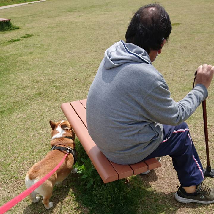 7e96bee0 674a 4985 b74c 35fdf604f695 1619562929151