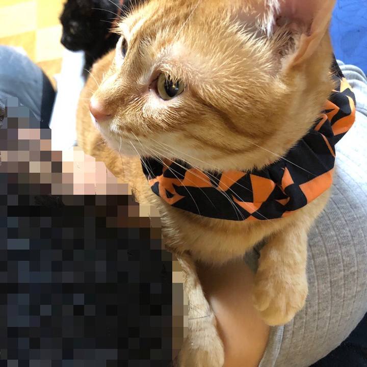 7e96c8c0 762e 4c68 ae36 11a89e7fd8a1 1572095925443