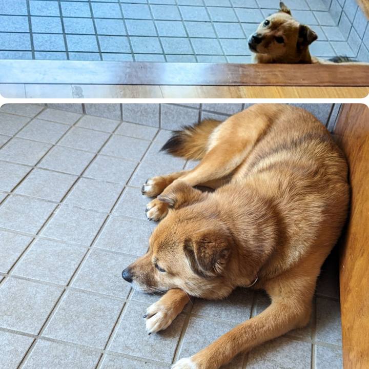 7e96c8ca b897 4c9c b848 265555b5ff30 1688295693920