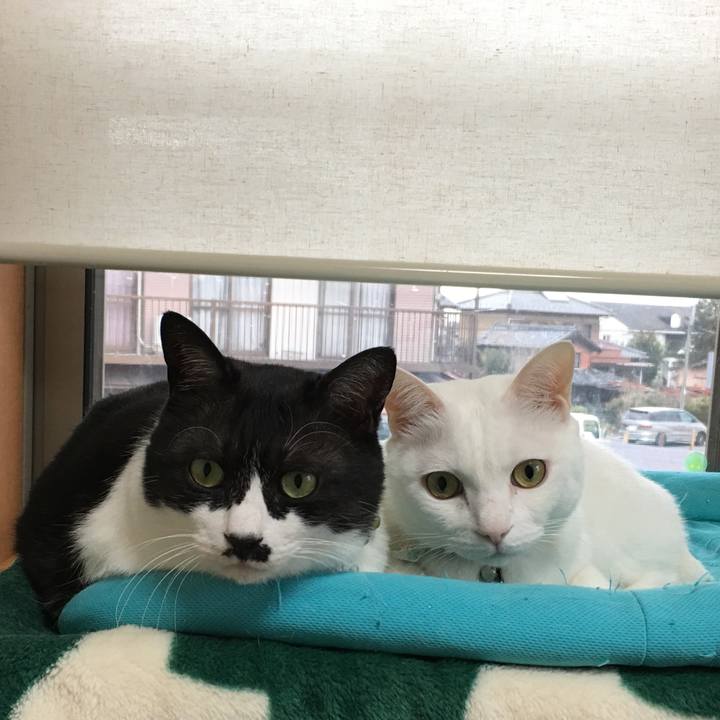 7e96c9f8 021e 4927 a475 3217252e1cfa 1516362891894