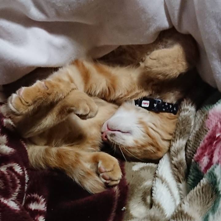 7e96cf0f f1f5 42ce ba4b f23366c79208 1634562275961