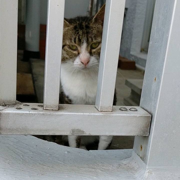 7e96e747 943b 404b b2a8 85df48ba30ed 1595127062539