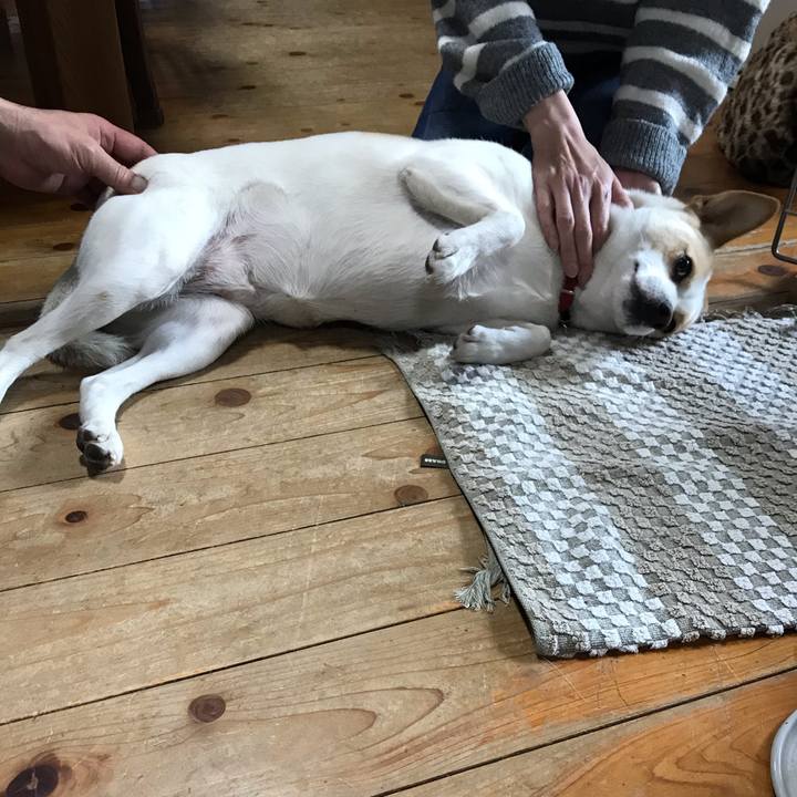 7e96f66a 46c6 4af7 9fc0 419bf2587551 1578043464440