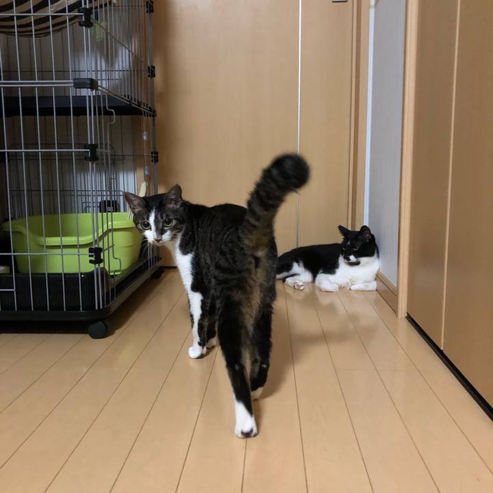 7e973353 aa63 446a 9b46 0fac2788a4f5 1562186996836