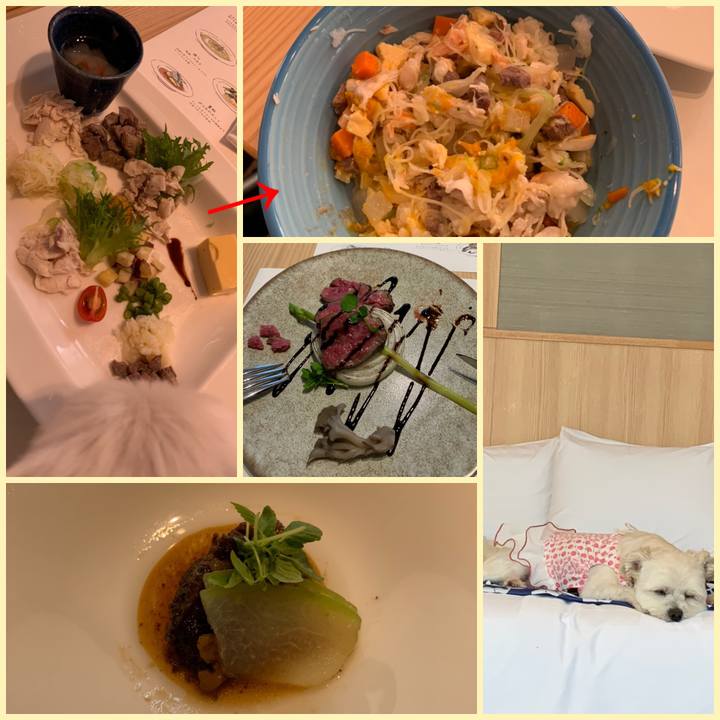 7e97902d 8652 406a ad45 e4f48bf996a8 1592394398778