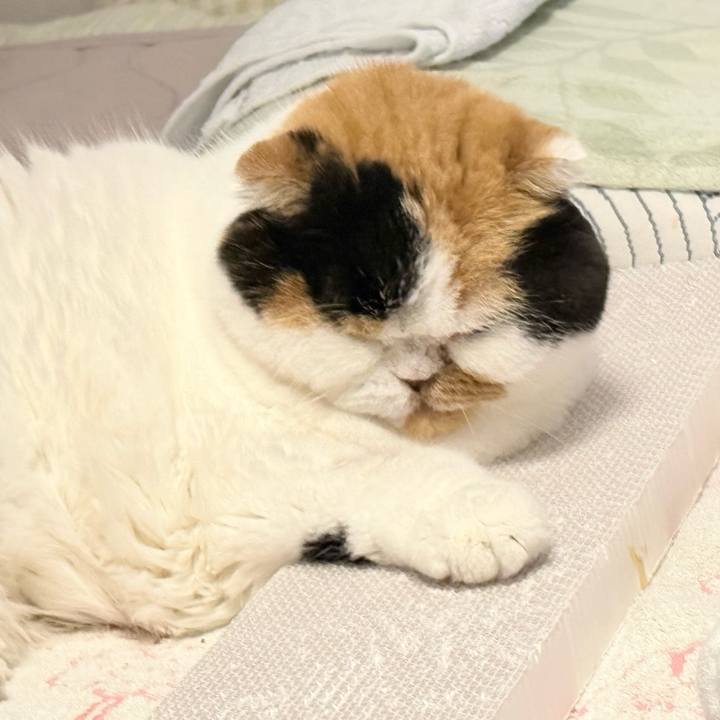 7e97c5f7 186d 458c 818c e44bd59fd6c3 1763924132596