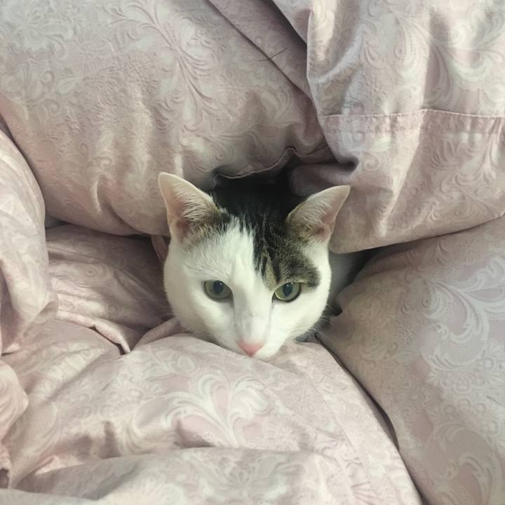 7e9841e7 c1c8 4851 bc25 7f15a993e7e1 1517920847370