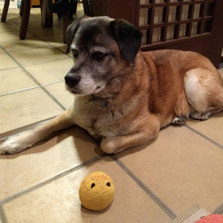 7e98629e f0ea 44fa 9d12 34698da088da 1713662771019