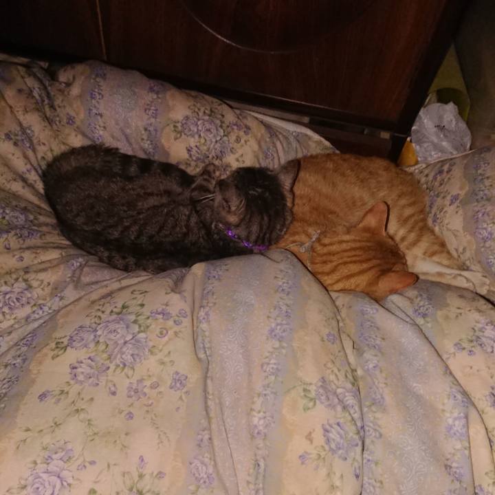 7e98834b 6623 4e4e b312 6becfe8d7407 1590771055560