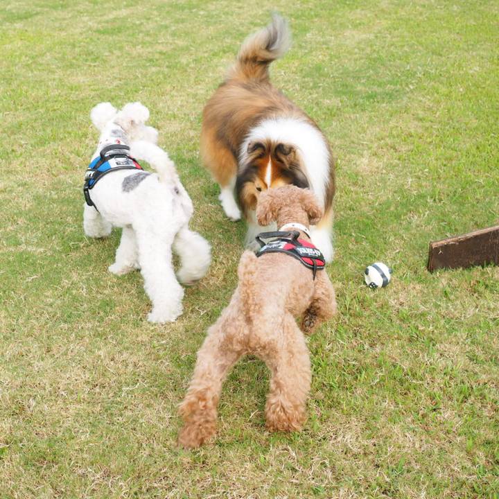 7e988385 0506 4cda a3df 12c27d1502e9 1538125088150