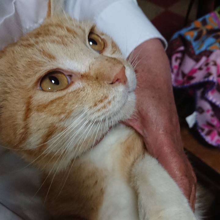 7e988b28 b99e 4332 a05e fc74ab32d230 1556789777177