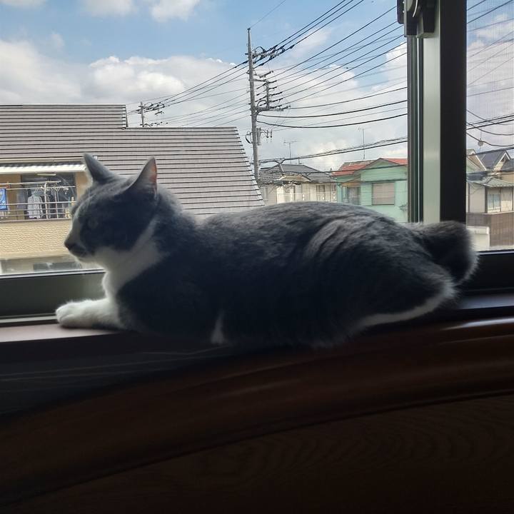 7e98b0b4 3acb 49a6 b1bb 4e1858e8d100 1627087394428