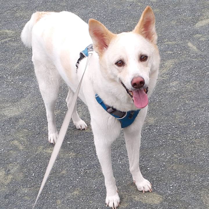 7e98ca5f 9b9b 4492 8473 76f4f0c3408c 1659744667754