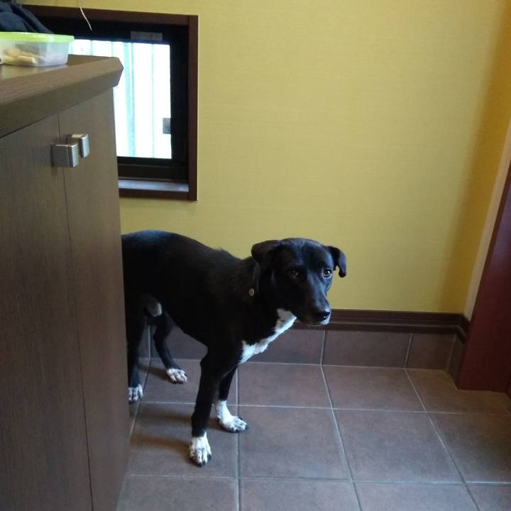 7e98d5f0 1aec 4dcd b4b2 434a695b65bb 1587860379082