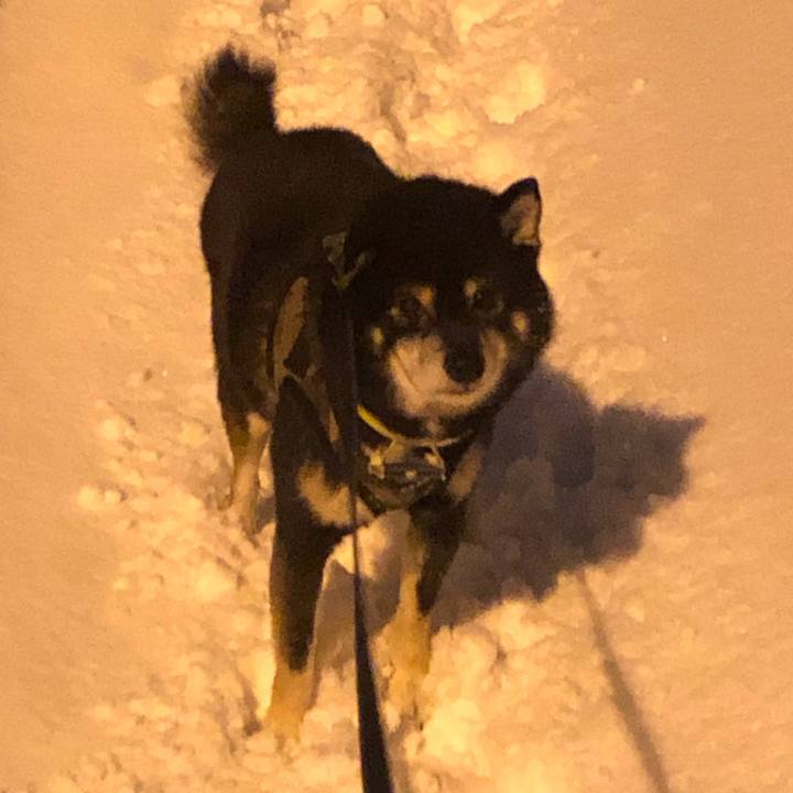 7e98dd80 2831 4766 b6e3 13913f0c0b04 1610934926990