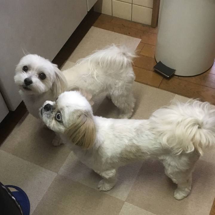 7e98ebe6 c720 4454 8256 314aa9913194 1527755719339