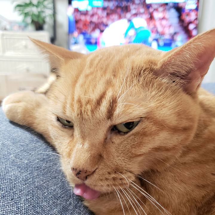 7e98ecce ebc6 4af6 bd4f 545140913f82 1722355586857