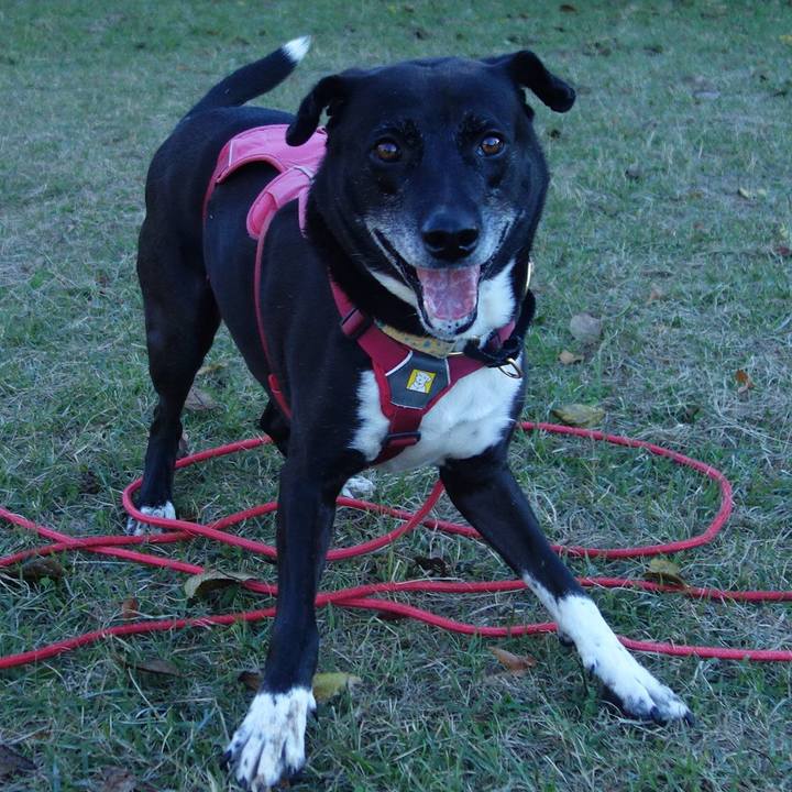 7e98ffa2 40ac 4c3d b850 886a31426302 1700351260631