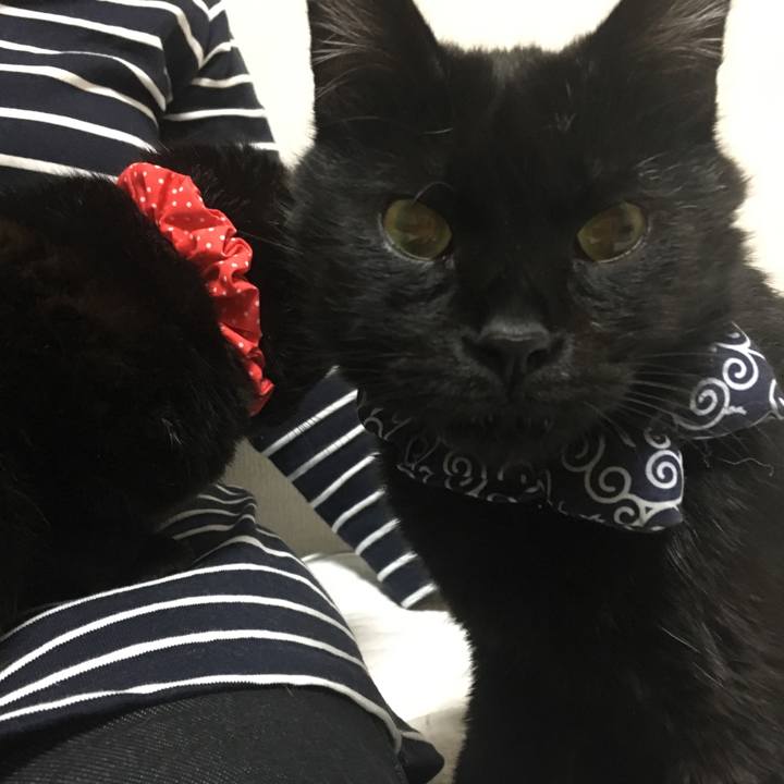 7e9934a2 746c 43b0 8268 162504492807 1553081149541