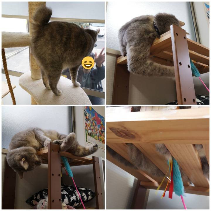 7e996a3f 633e 4ef4 8e56 47a5ccc63ea8 1574843565619