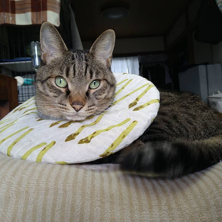 7e997f9e 870d 46f9 9e71 5e81b01af3d4 1730512156056