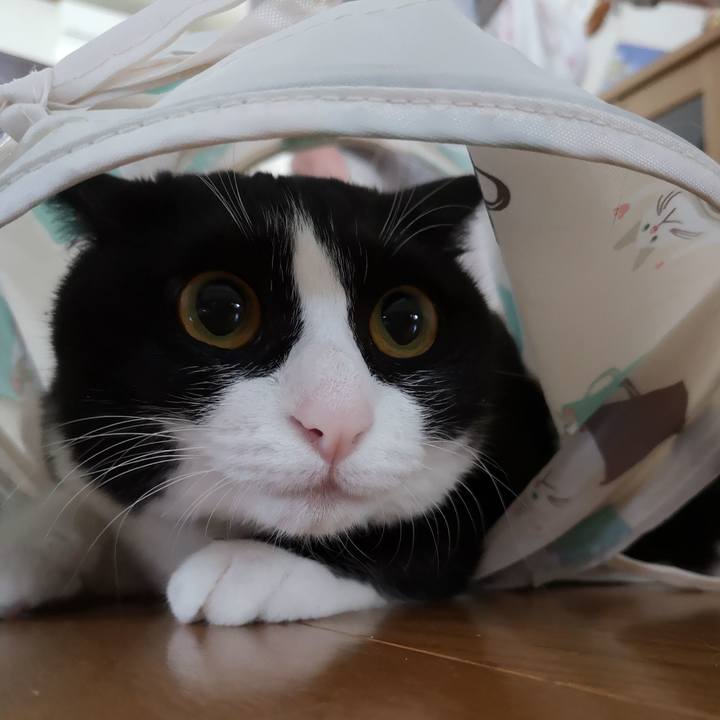 7e998138 67d6 4b98 84bb 21ce2125172b 1561249801873