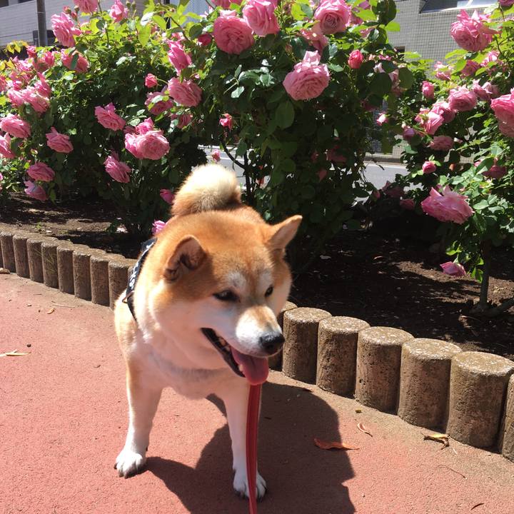 7e99b160 a982 4735 acf9 f8d0877667be 1619747652582