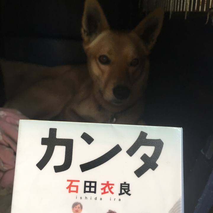 7e99b301 b24a 4b28 86a2 f42bbe02d0f9 1521359610440