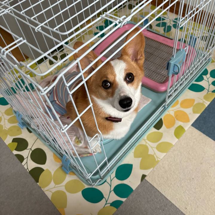 7e99e542 221f 4854 80d7 bc46159e74ba 1757744540085