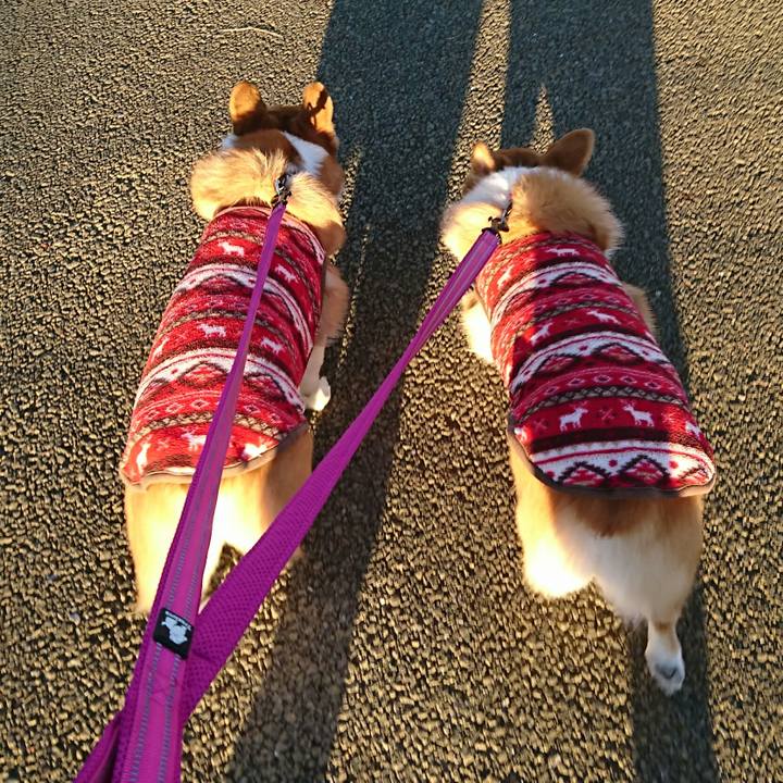 7e99e770 150b 4976 9fa6 ae3d019c81c1 1513033613241