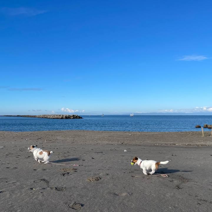 7e9a188b 2cb2 4b67 a4cd a3d3696ed673 1636157879135