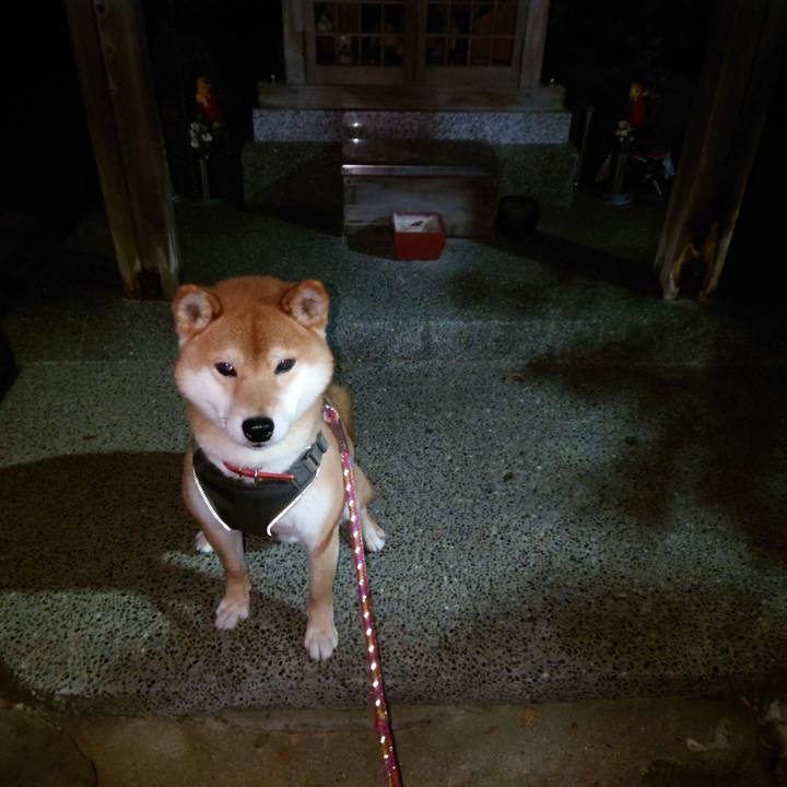 7e9a2655 c48b 41cb 8829 3d66c197ba54 1768520550701