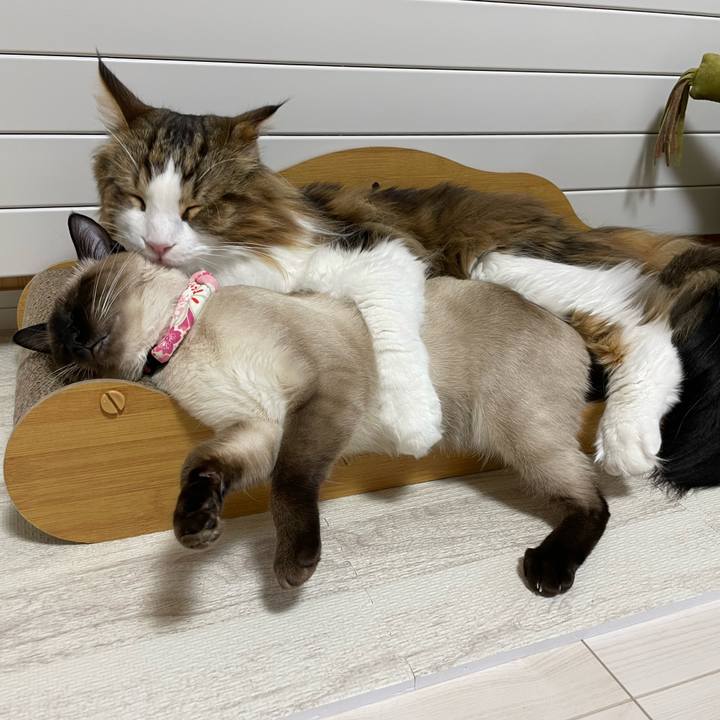 7e9a2a83 3d61 4138 b2c5 235bbb6b53a9 1712488587998