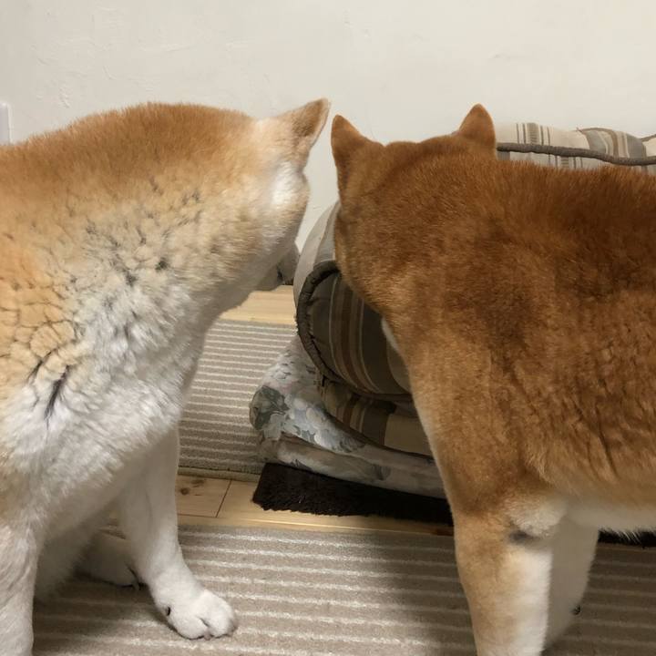 7e9ac2c7 39db 4c6d a16b 8258ff96a15d 1553913203308