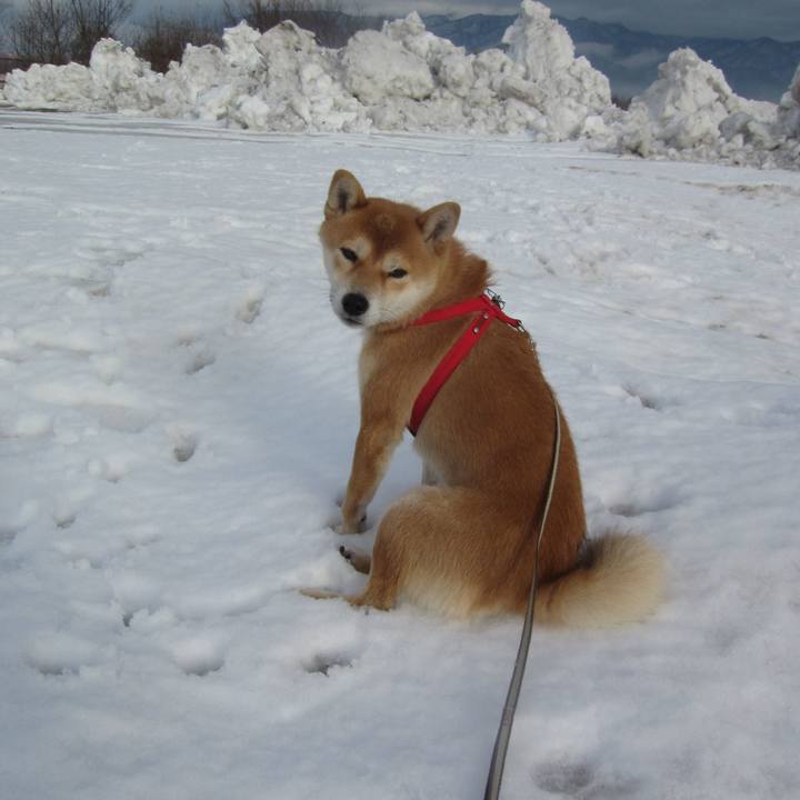 7e9ae00b f728 4654 9df9 cd6f7e4d53f2 1708606255369