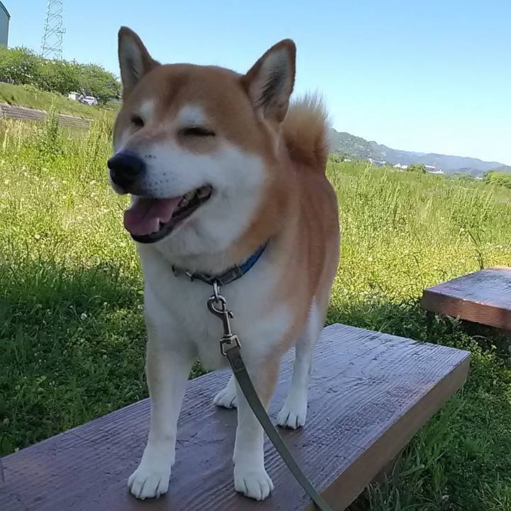 7e9affb9 3409 46d4 9ccf 66a377787acc 1589167900558