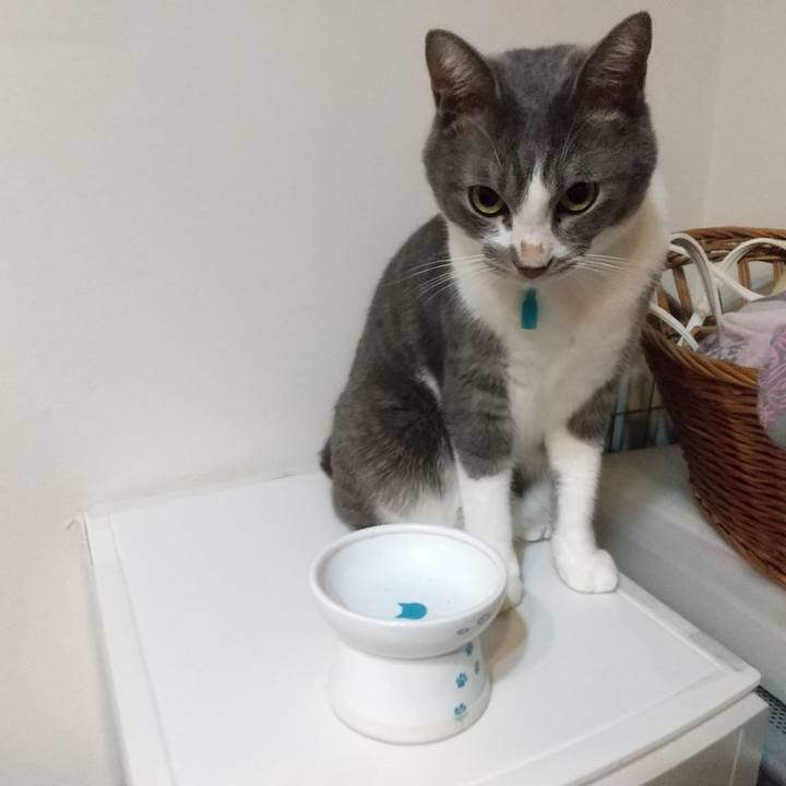 7e9b2bff 300d 4bb6 aecf cd4411274363 1635111645280