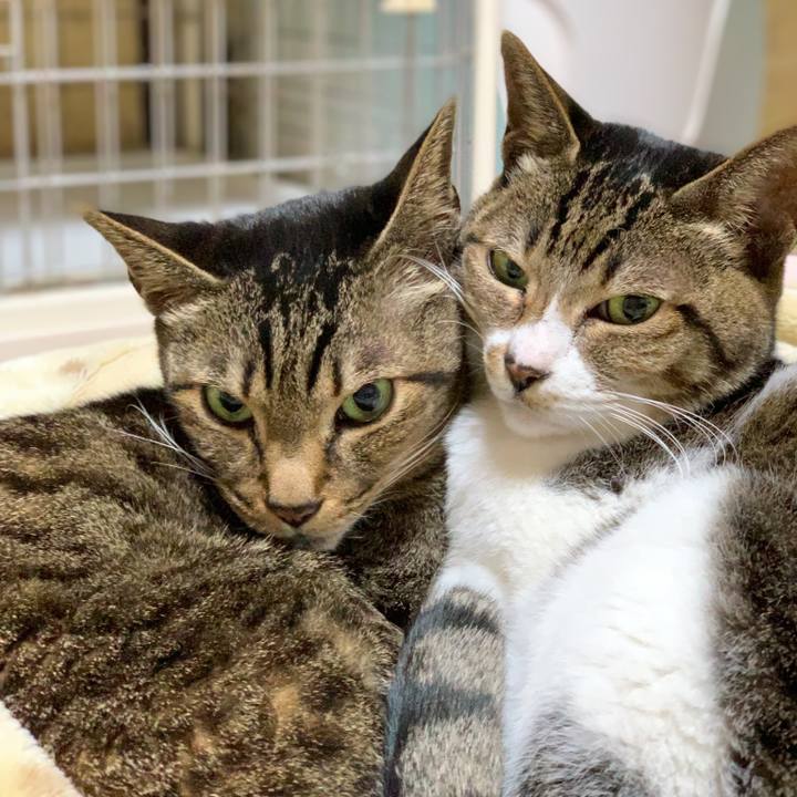 7e9bbd69 9f2c 4c7f 821e 377aa6a232fb 1583025940975