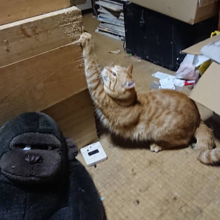 7e9bef11 9a43 49f7 8ffc 00c72d521e84 1647118977527