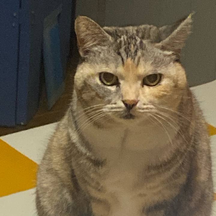 7e9c1a06 eb8a 4745 9906 9521d350b53e 1705241796391