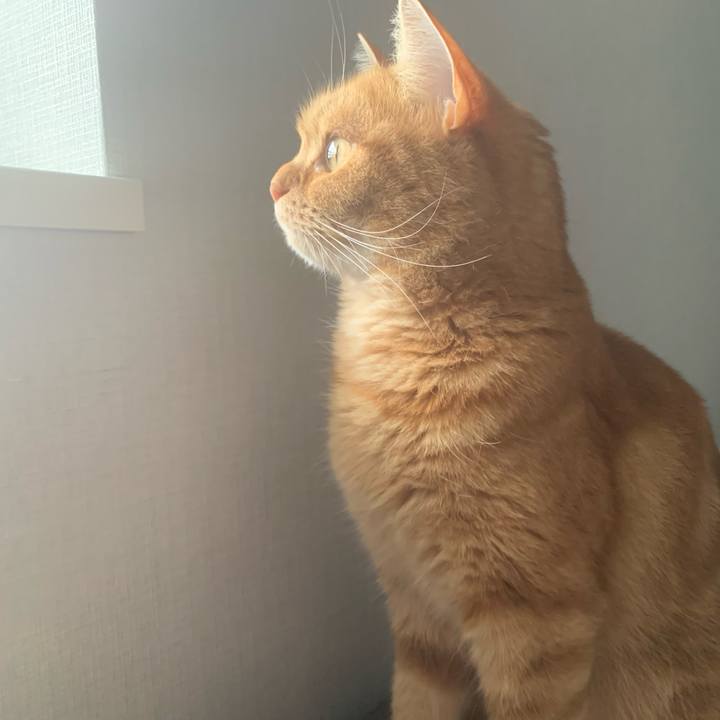 7e9c476b ecdb 4808 a580 6f30aafb5bd1 1654041360120