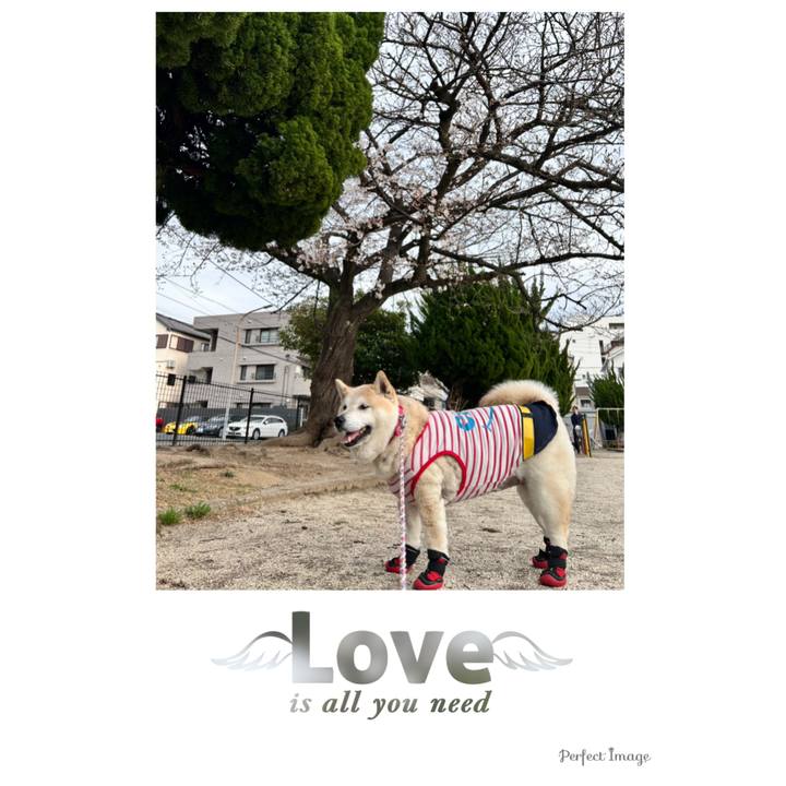 7e9c6056 0c65 461c 9f85 1698646bd347 1747952676632