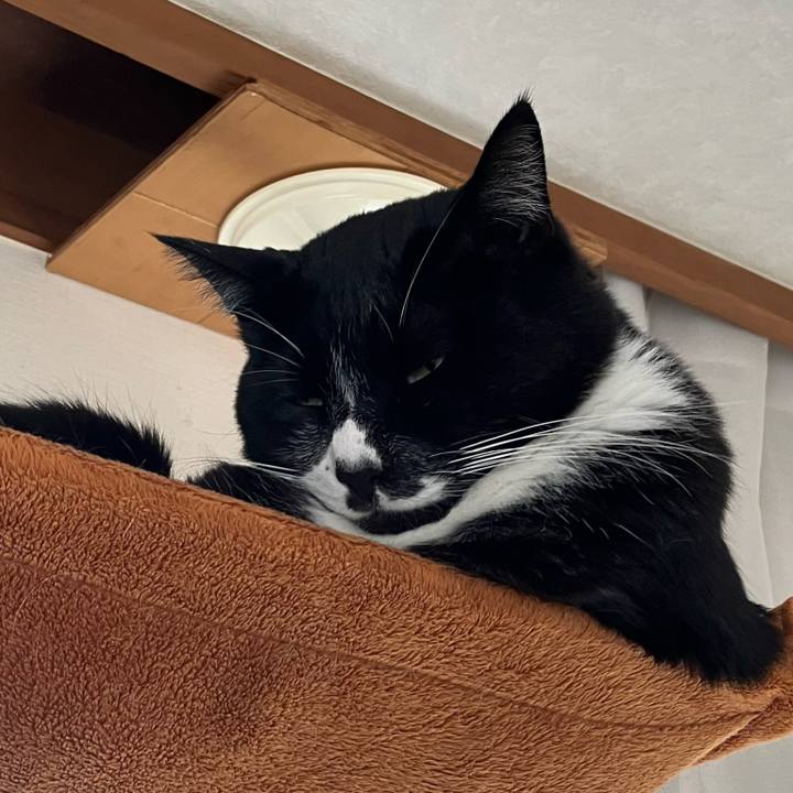 7e9c6c3b 5fc9 441b be0e 4323e050e8d1 1771560560746