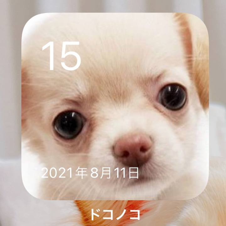 7e9c9592 3d98 458d 9796 83d245efab01 1660566548367