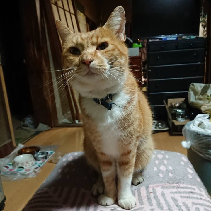 7e9ca579 dad7 410f 9f92 67d9436add19 1602618725299