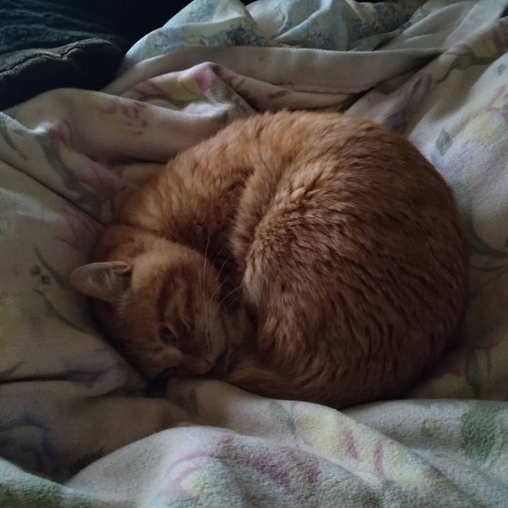 7e9cb3e0 cdc2 4926 9047 a5eaaa194bcd 1673744494148